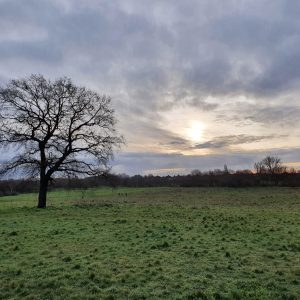 East Wickham Open Space