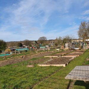 Monks Farm Allotments